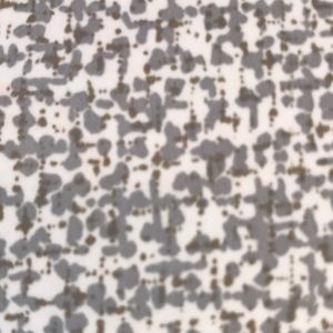 Meet your Posher, Suzanne